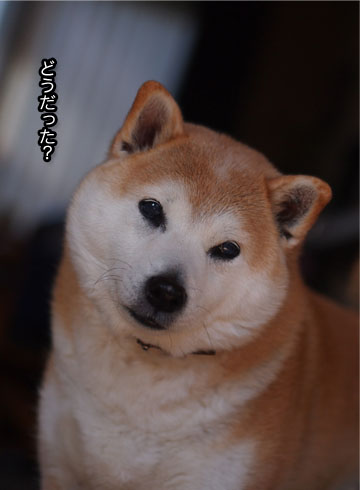 20日ブログ6.jpg