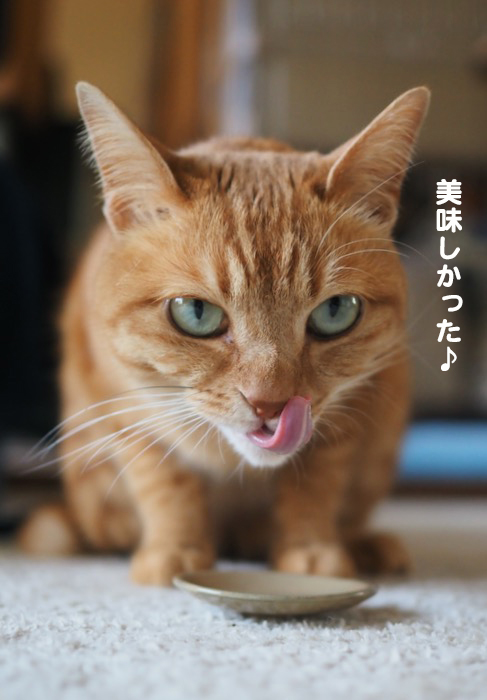 27日夕ブログ６