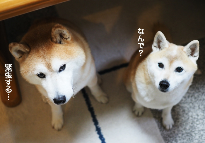 18日夜ブログ５