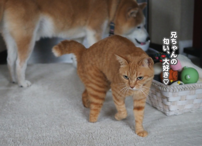 22日夕ブログ９