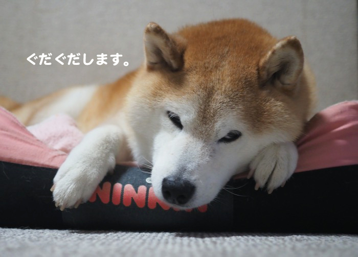 １０日ブログ２