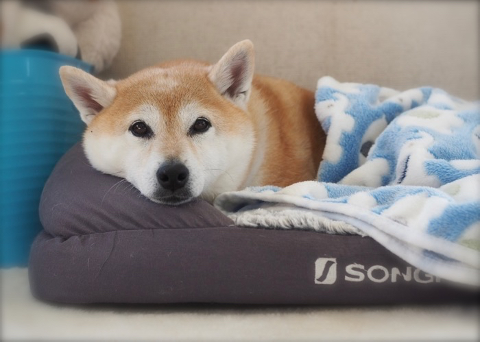 7日ブログ４