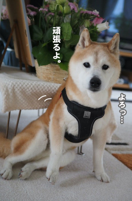16日ブログ４