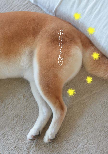24日ブログ11