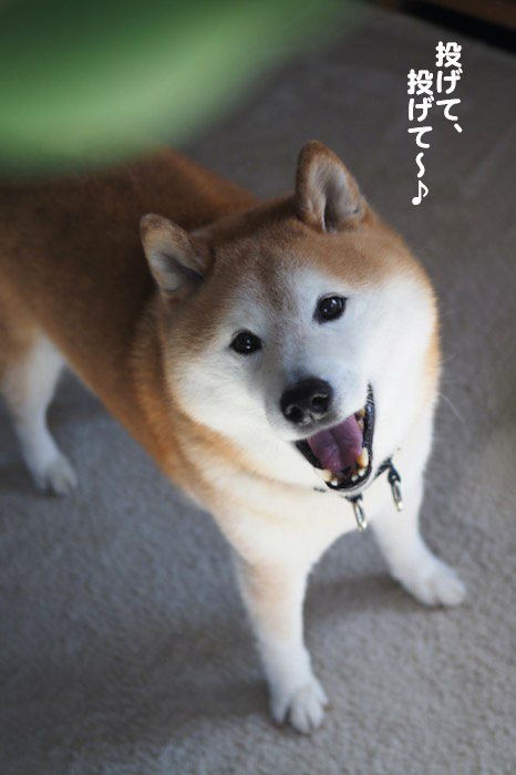 24日ブログ３
