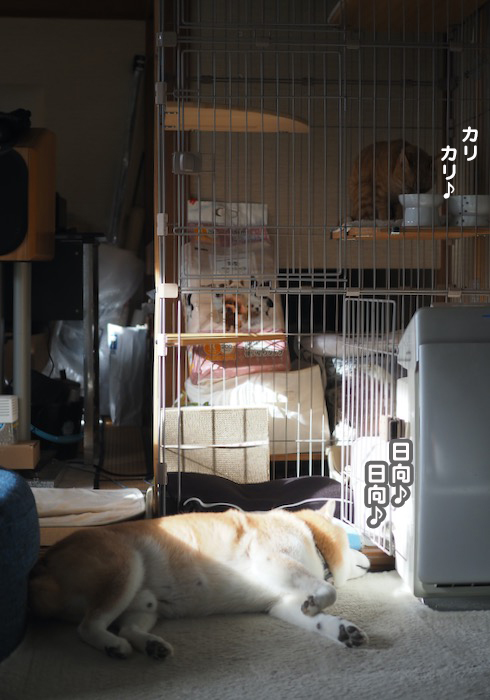 18日ブログ１