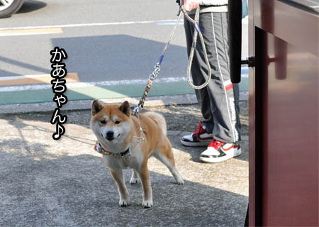 5日ブログ１１.jpg