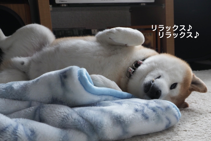 6日夜ブログ４