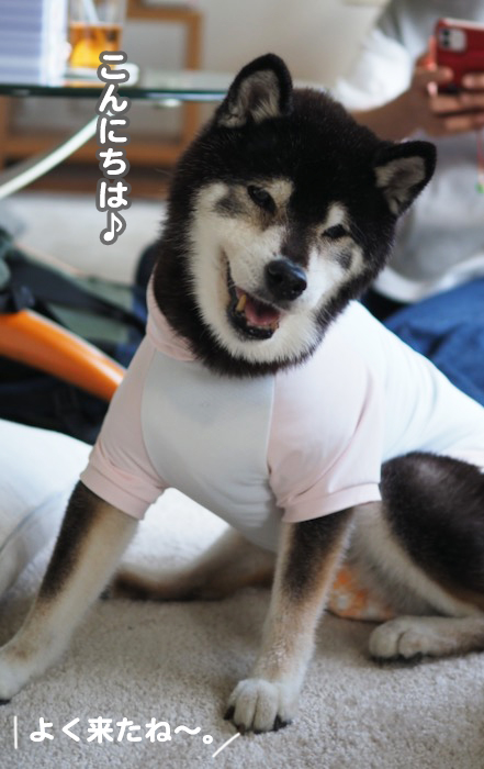 21日夕ブログ３