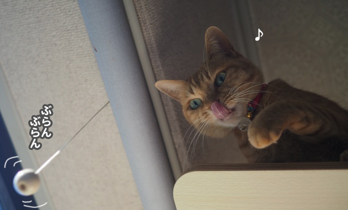 5日夕ブログ４