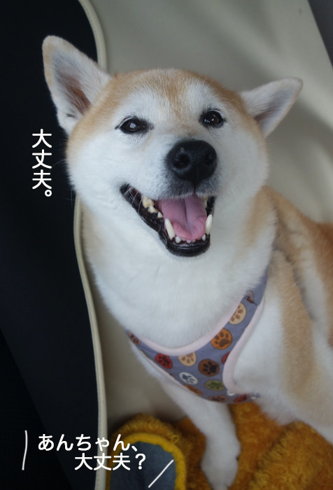 19日夕ブログ３