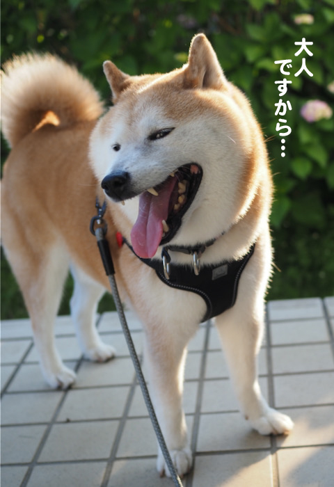 28日夜ブログ9
