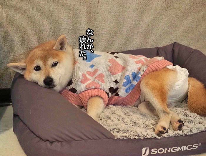 8日夜ブログ１
