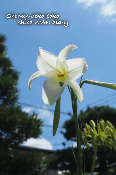12日ブログ１
