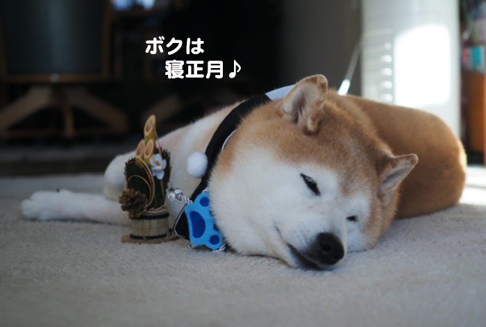 1日夕ブログ2
