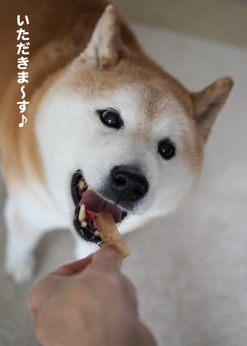8日夕ブログ９