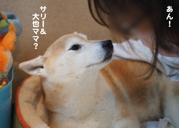 12日夕ブログ７