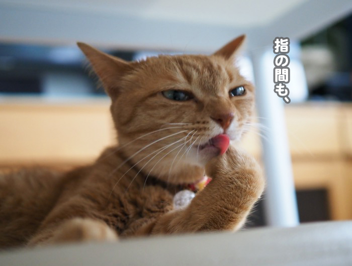 9日夕ブログ７