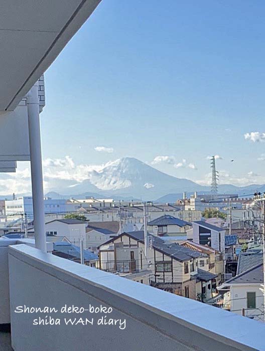 29日ブログ５