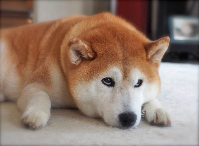 8日ブログ１