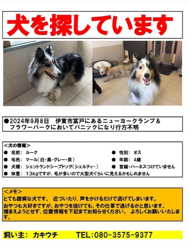 1日拡散２ (1)