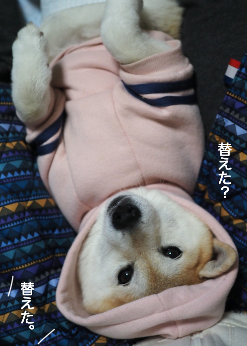 23日ブログ２