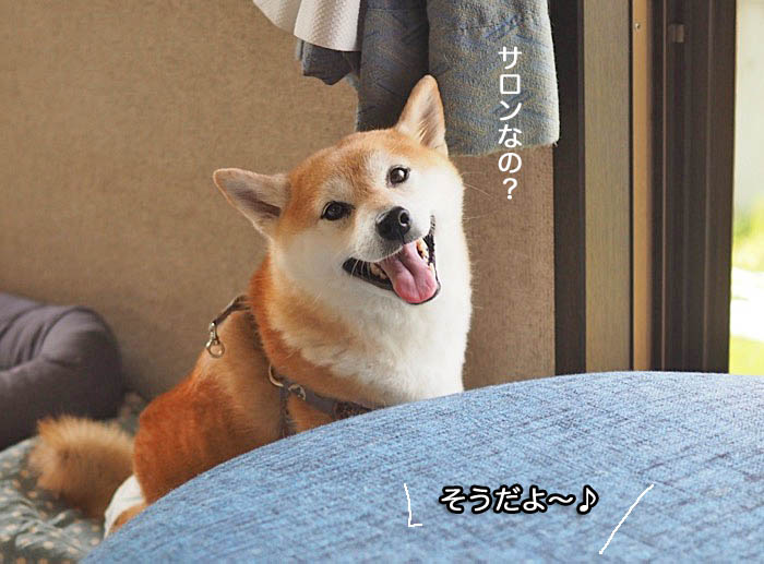 3日午後ブログ５