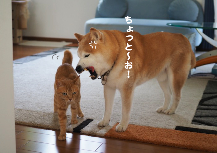 12日夕ブログ4