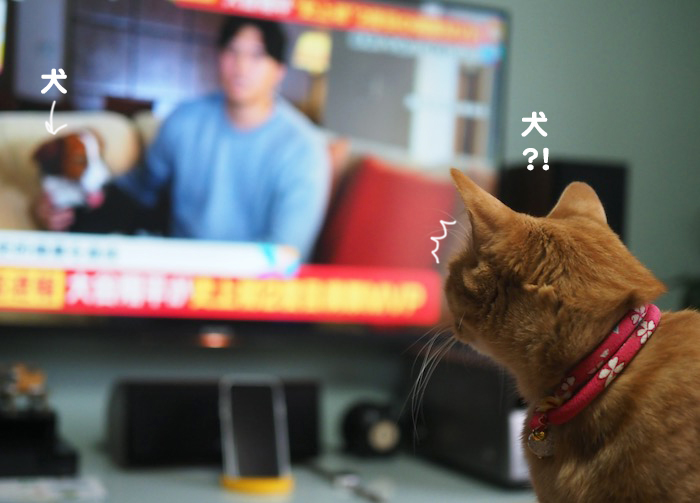 17日ブログ６