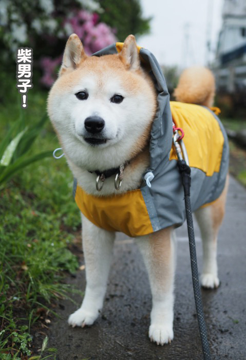 25日ブログ７