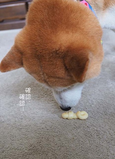 20日ブログ２０