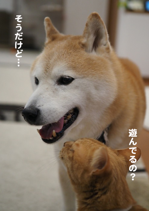 15日夜ブログ８