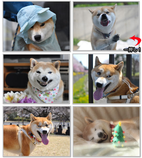 25日ブログ7.jpg