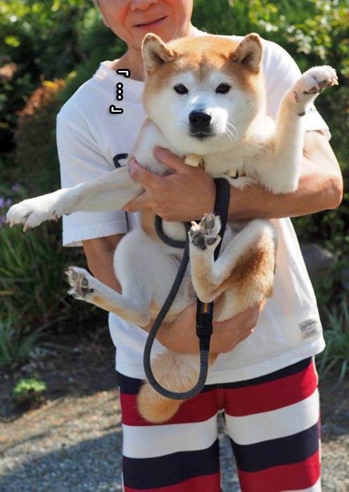 13日ブログ８