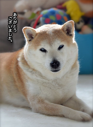 10日ブログ2.jpg