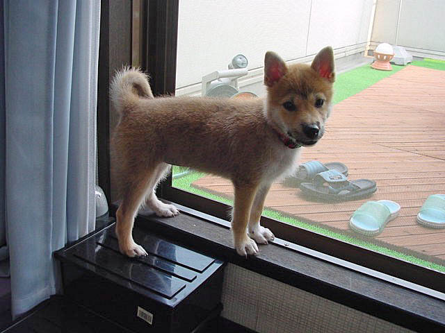 21日ブログ3