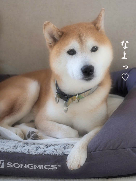 7日夜ブログ１