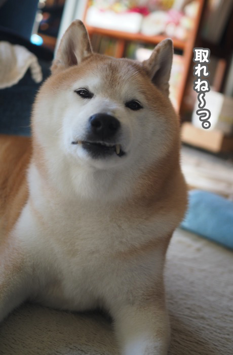 5日夕ブログ４