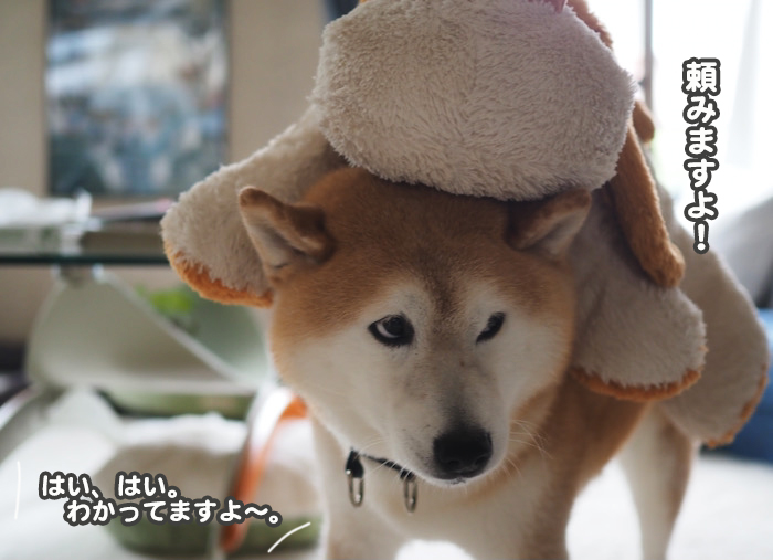 29日夜ブログ6