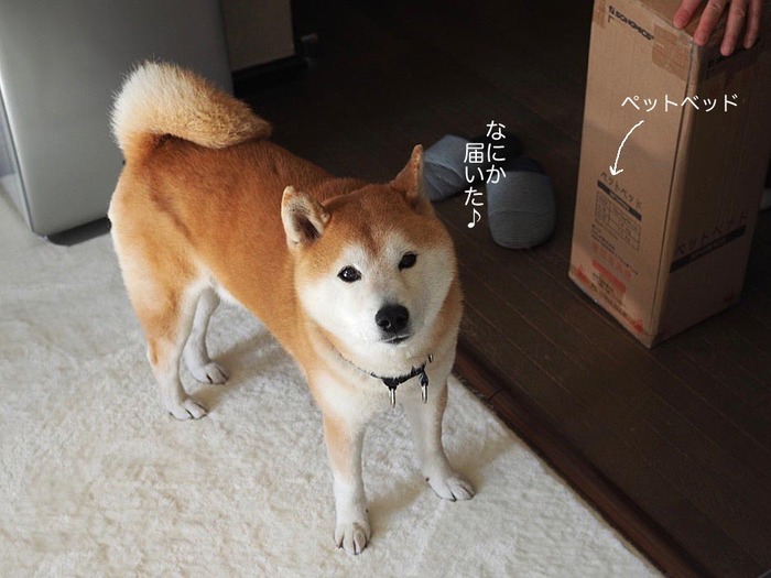 2日ブログ２