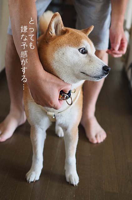 20日ブログ１０