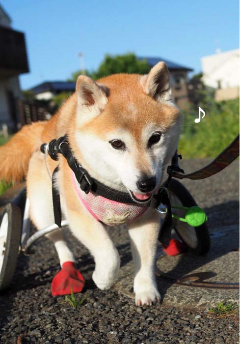 18日夜ブログ４