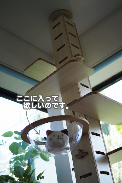 7日夕ブログ３