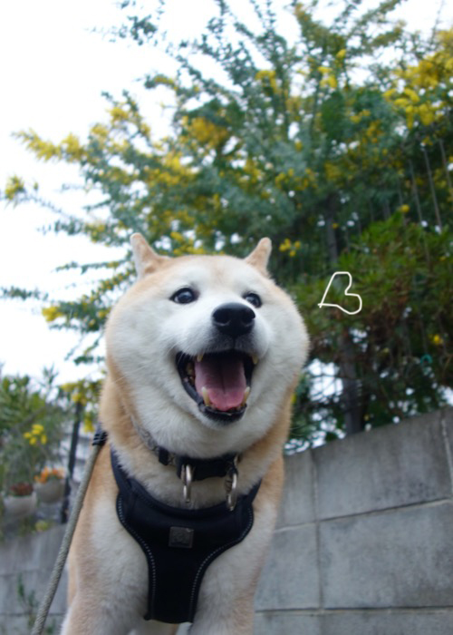 12日ブログ４