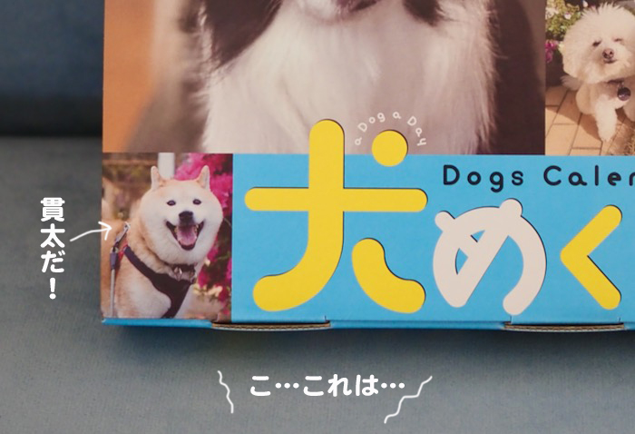 12日夕ブログ６