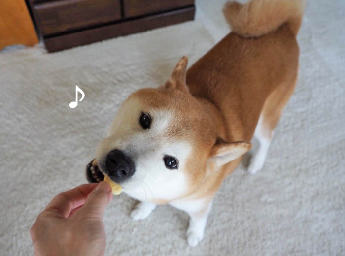 24日午後ブログ9