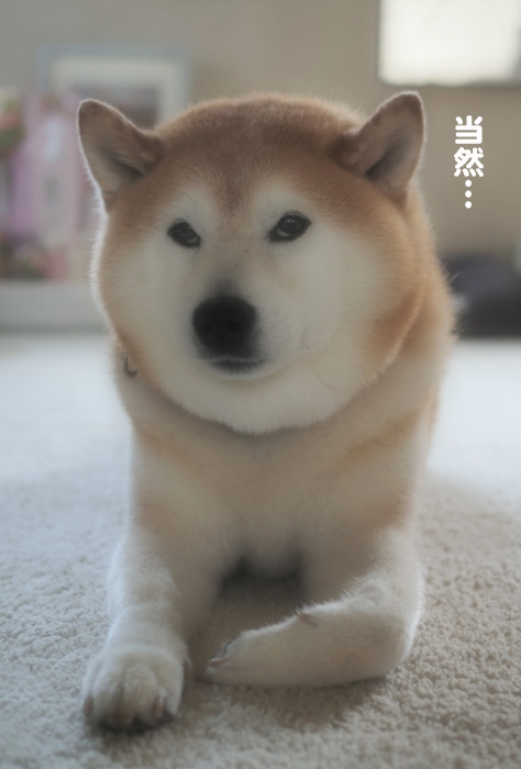 12日ブログ４