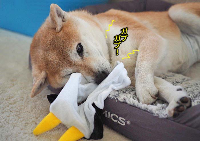 2日夜ブログ６