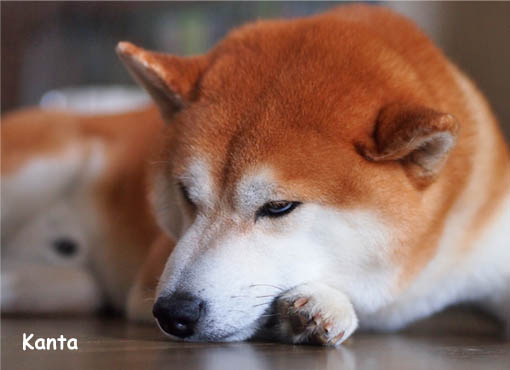 26日ブログ6.jpg