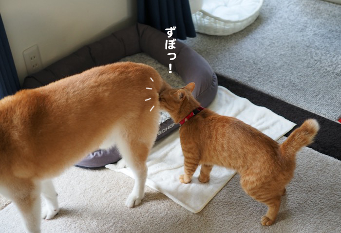 10日夕ブログ5